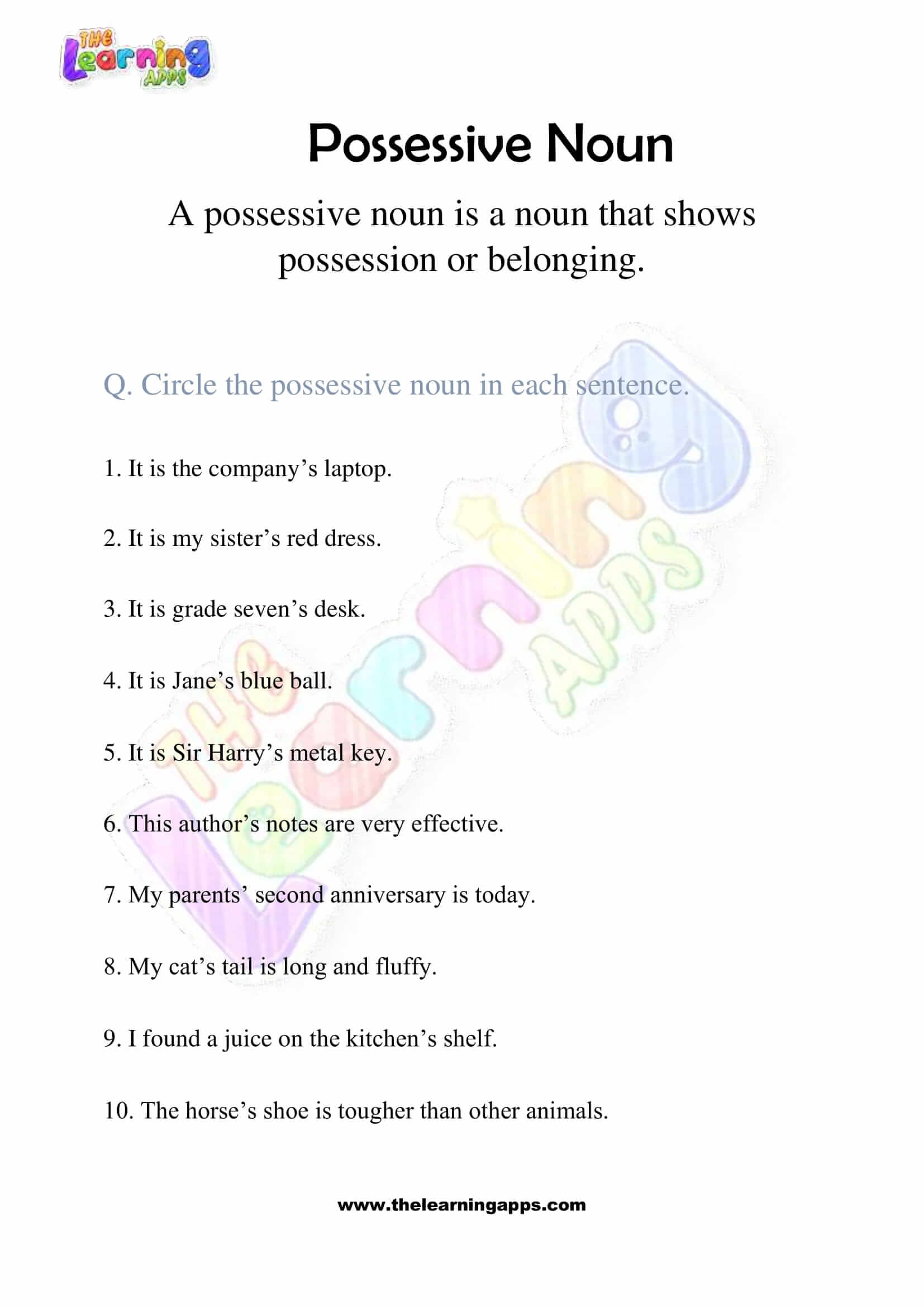 Possessive Noun 08