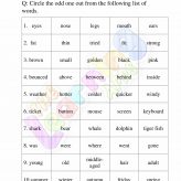 ورقة عمل المفردات للصف الثالث 09