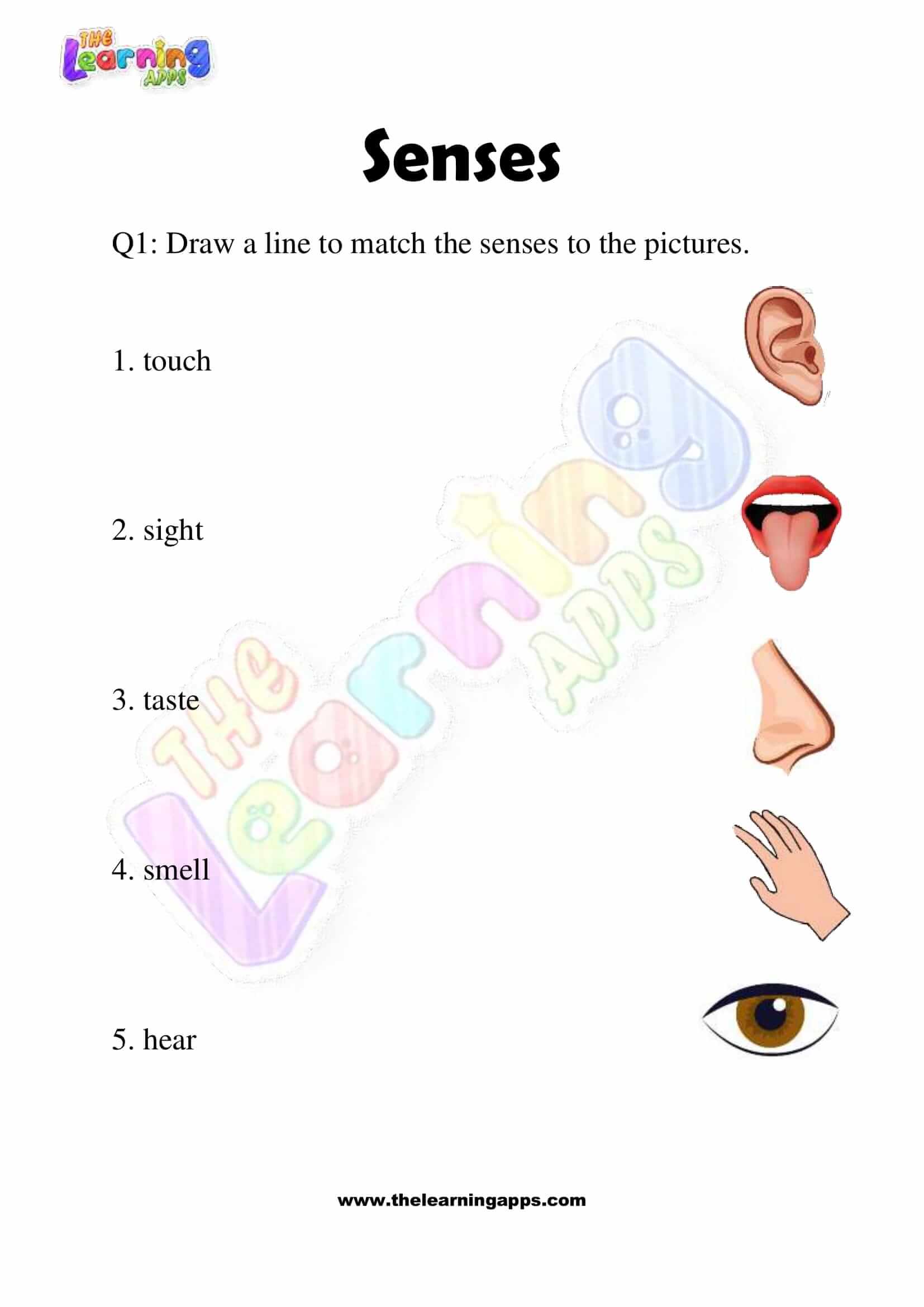 Senses Worksheet - Grade 2 - Activity 1