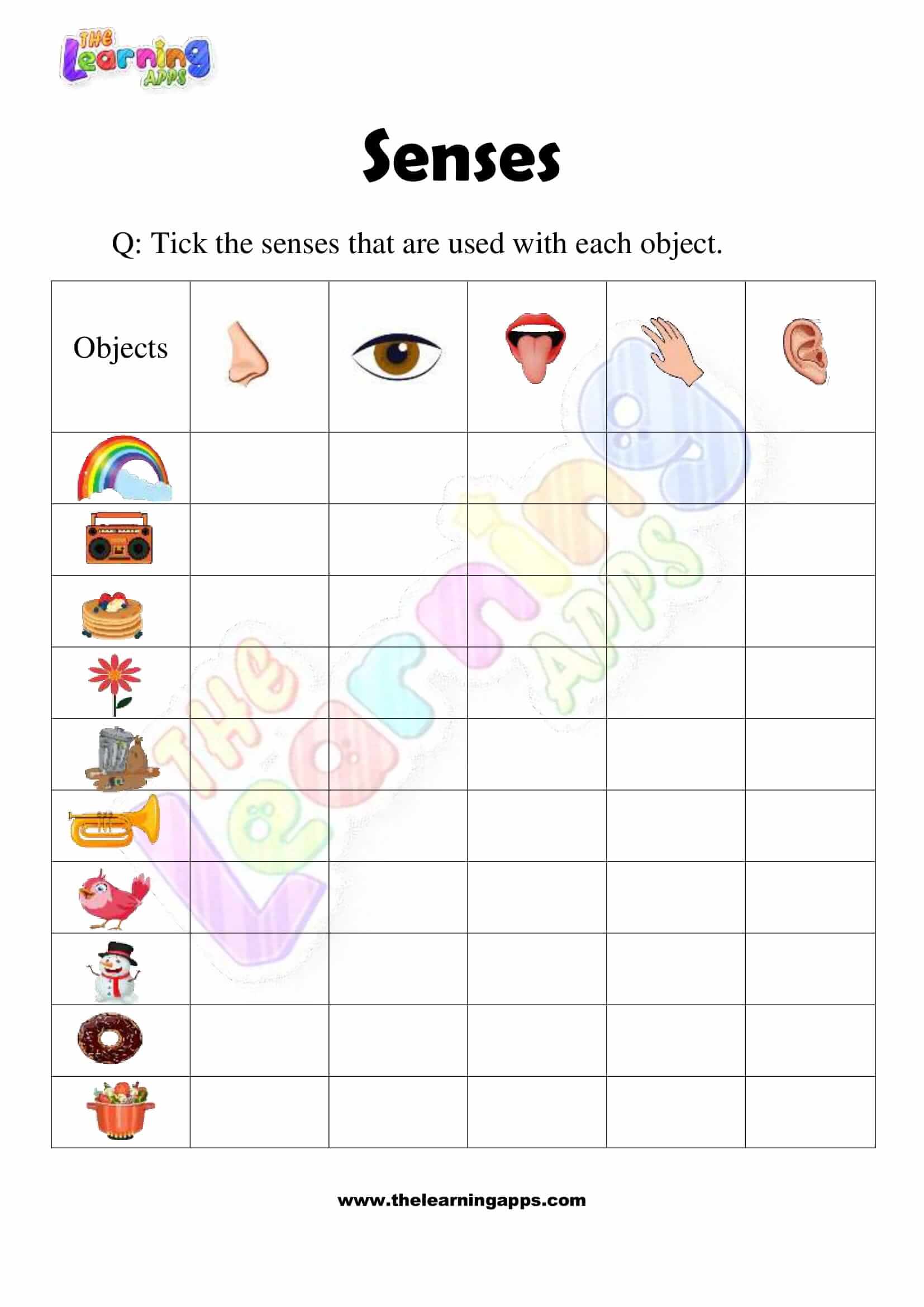 Senses Worksheet - Grade 2 - Activity 10