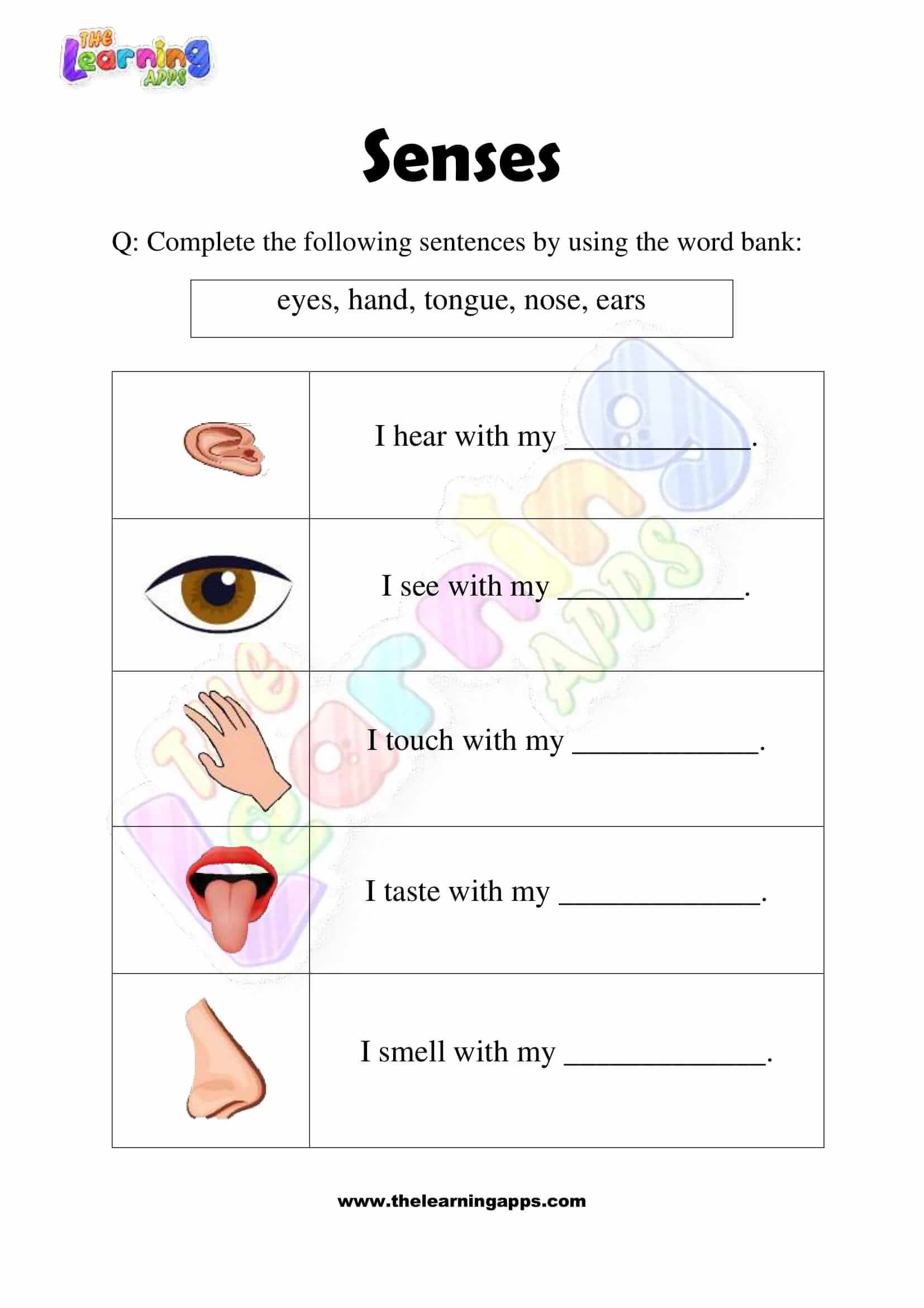 Senses Worksheet - Grade 2 - Activity 5
