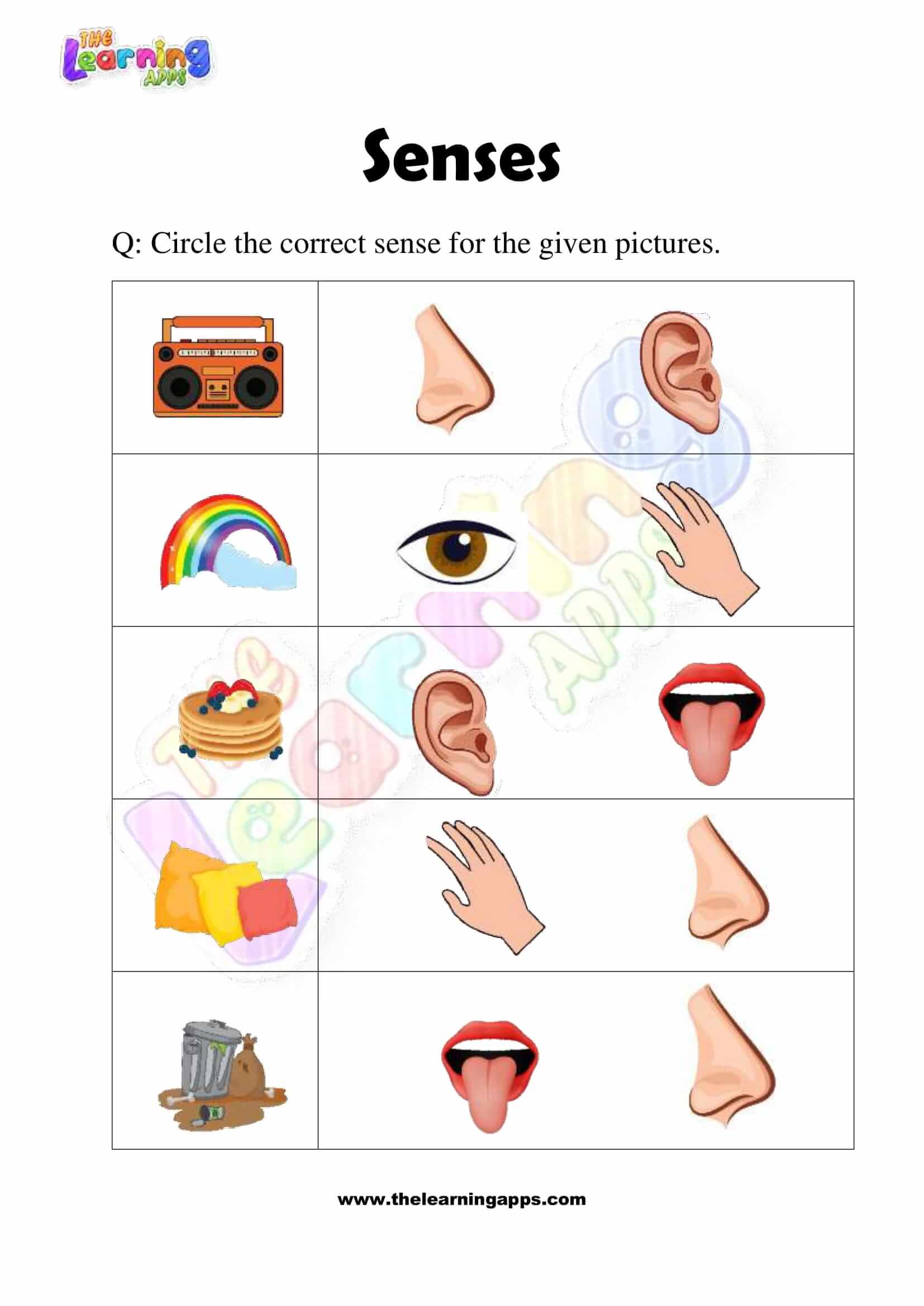 Senses Worksheet - Grade 2 - Activity 8