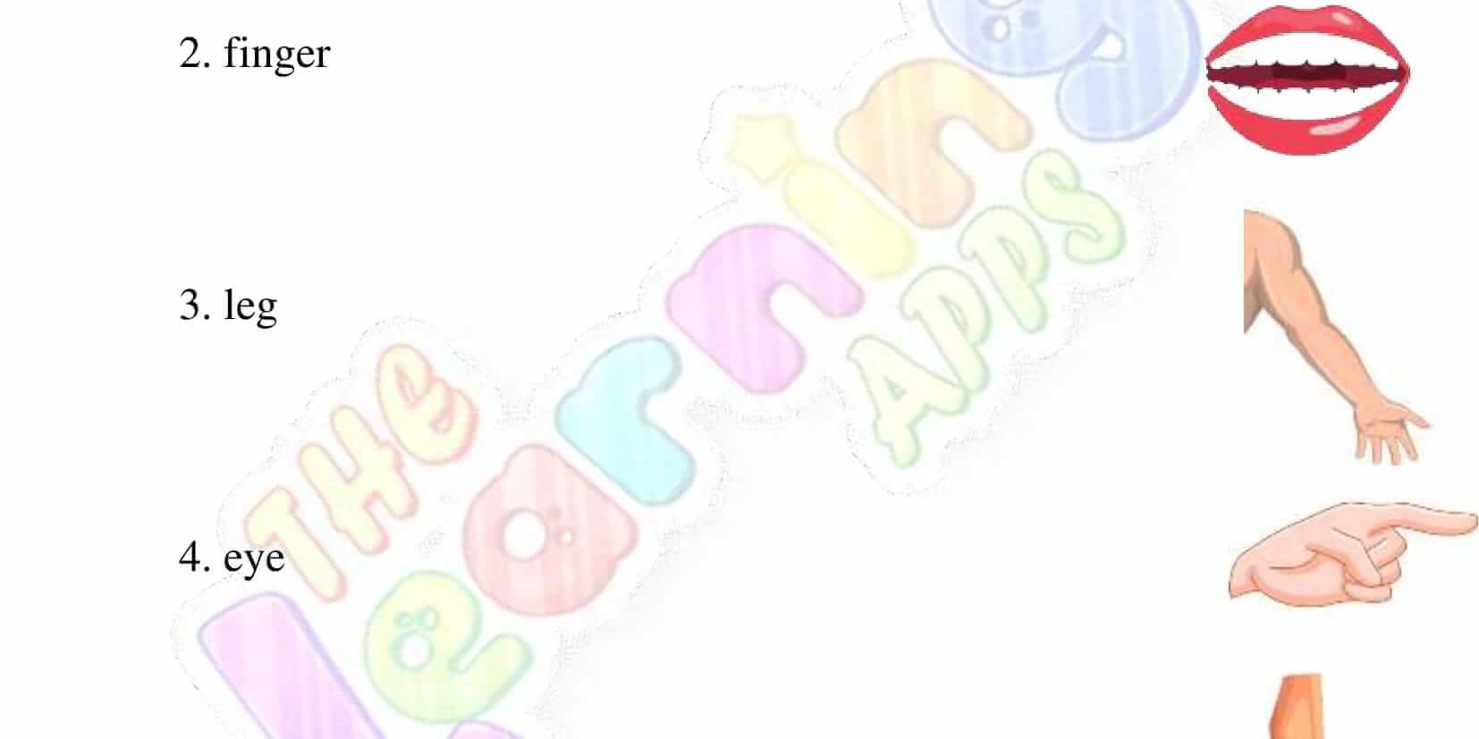 The Human Body – Grade 2 – Activity 2 The Human Body - Grade 2 - Activity 2