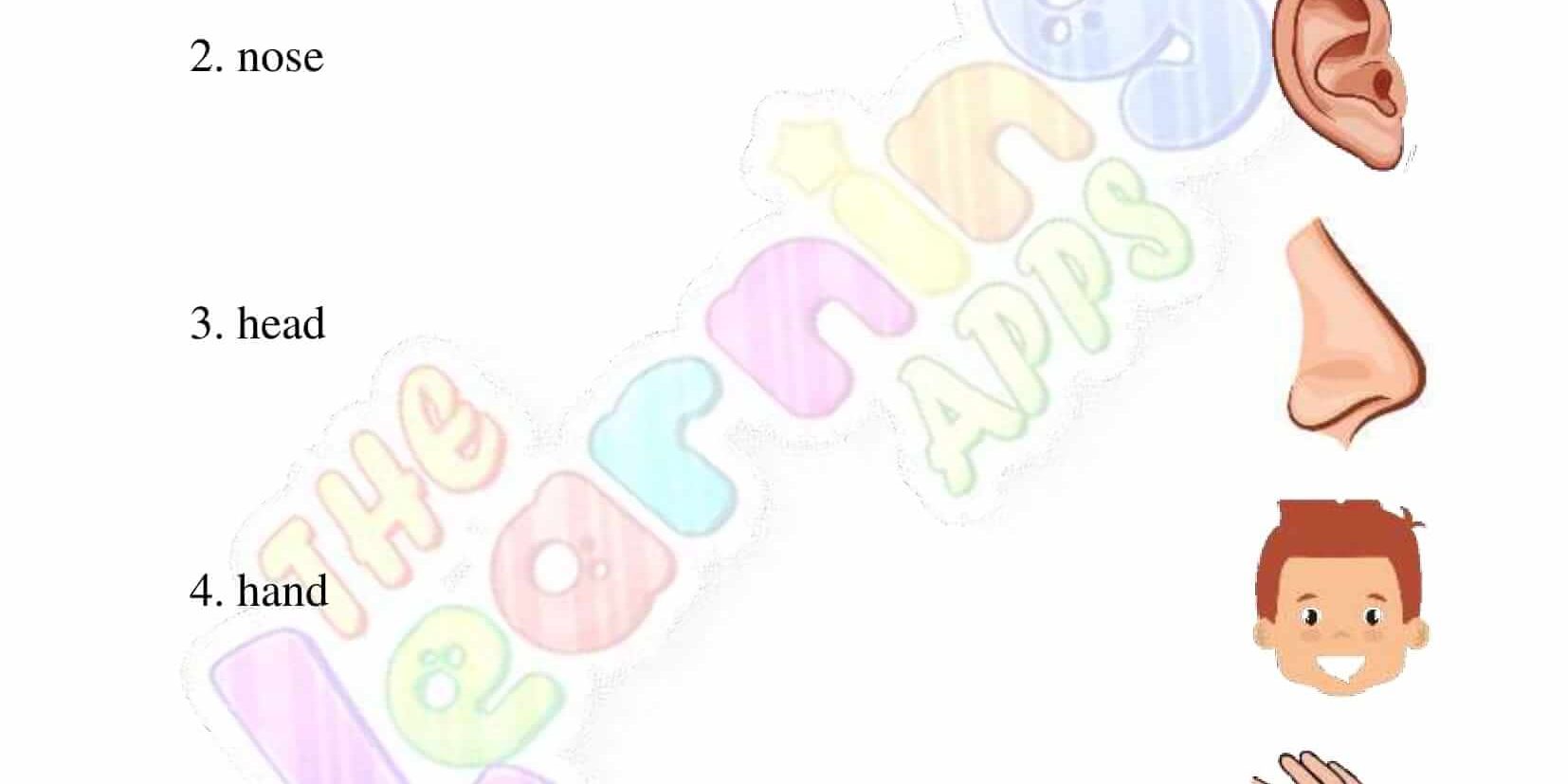 The Human Body – Grade 2 – Activity 3 The Human Body - Grade 2 - Activity 3