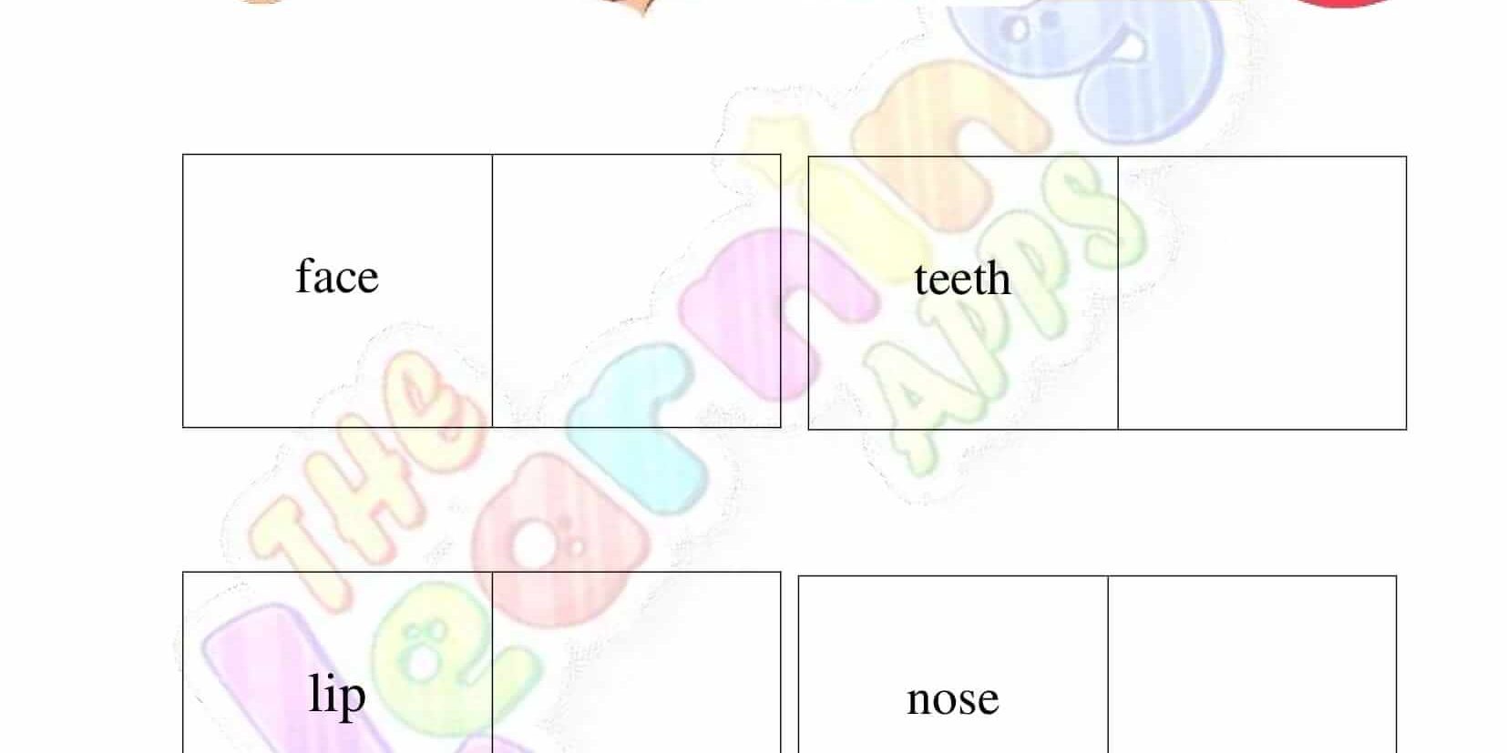 The Human Body – Grade 2 – Activity 6 The Human Body - Grade 2 - Activity 6