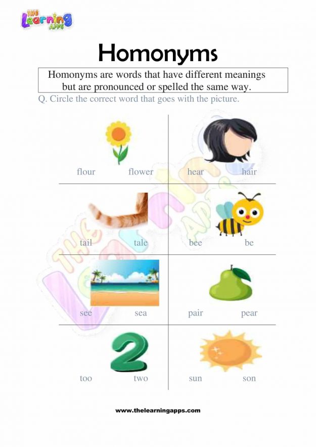 Homonyms-Worksheets-Grade-2-Activity-2