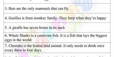 Magac-u-yaal xaashi-shaqo-Fasalka-3-Hawl-2 Magac-u-yaal xaashi-shaqo-Fasalka-3-Hawl-2