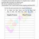Singular-and-Plural-Pronoun-Worksheets-Grade-3-Activity-1
