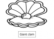 Giant clam