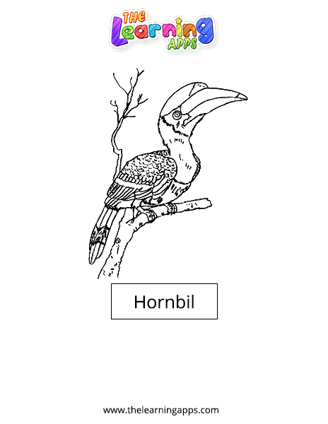 Hornbil