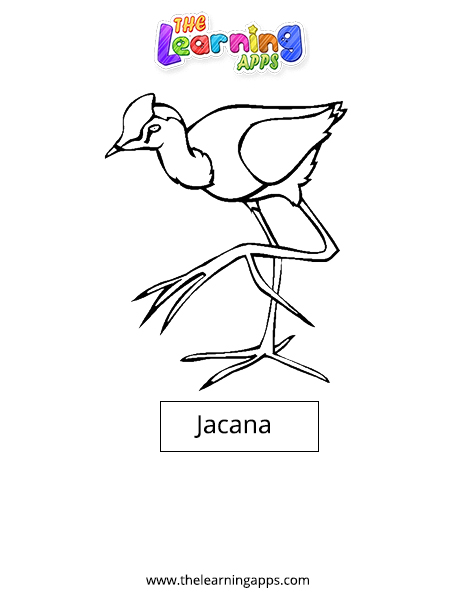 Printables and Worksheets of Animals that Start with J
