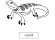 Lizard
