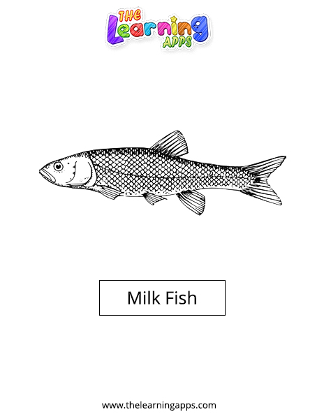 Milk fish