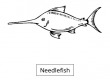 Needlefish