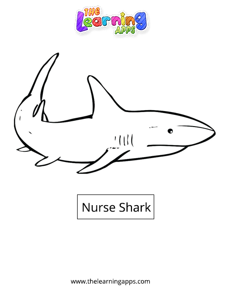 Nurse Shark