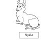 Nyala