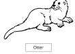 Otter