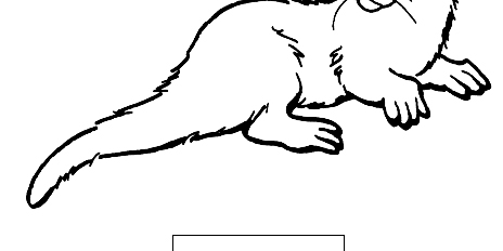 Otter