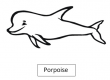 Porpoise