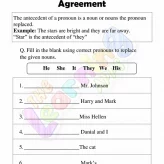 Voornaamwoord-Antecedent-Overeenkomst-Werkbladen-Grade-3-Activiteit-1