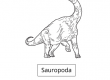Sauropoda