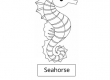 Seahorse