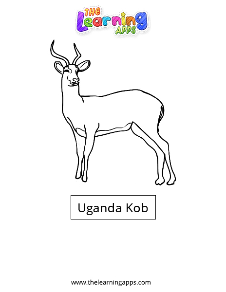Uganda-Kob