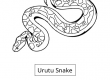 Urutu Snake