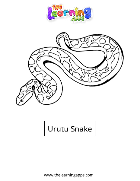 Urutu Snake