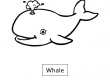 Whale