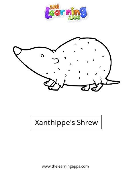 Xanthippe's Shrew