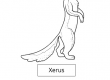 Xerus