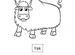 Yak
