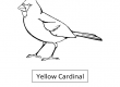 Yellow-Cardinal