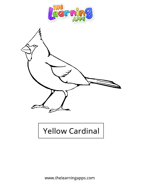 Yellow-Cardinal