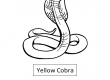 Yellow-Cobra