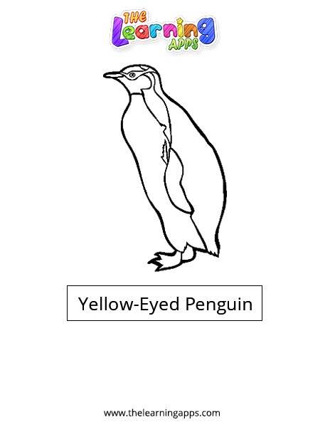 Pingüino de ojos amarillos