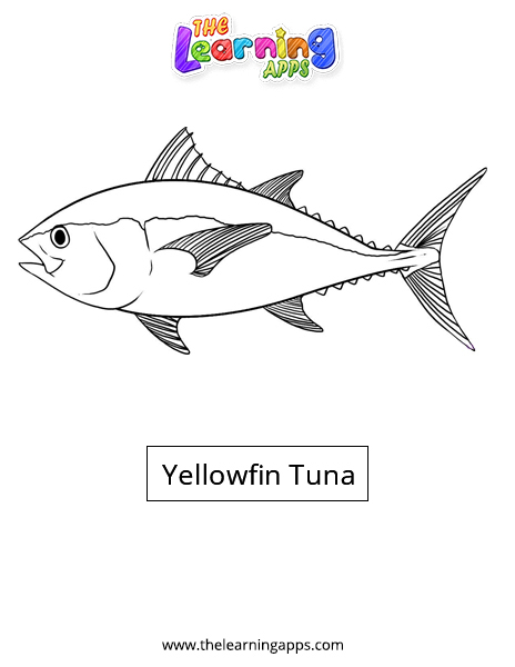 Yellowfin-Tuna