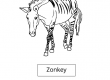 Zonkey