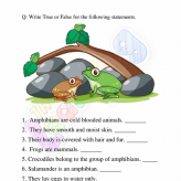 Amphibien-Arbeitsblätter-Klasse-3-Aktivität-5