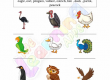 Birds-Worksheets-Grade-3-Activity-2