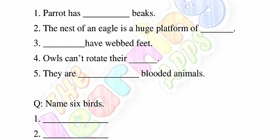 Birds-Worksheets-Grade-3-Activity-4 Birds-Worksheets-Grade-3-Activity-4