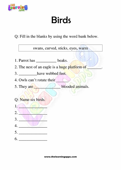 Birds-Worksheets-Grade-3-Activity-4