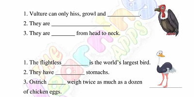 Birds-Worksheets-Grade-3-Activity-5