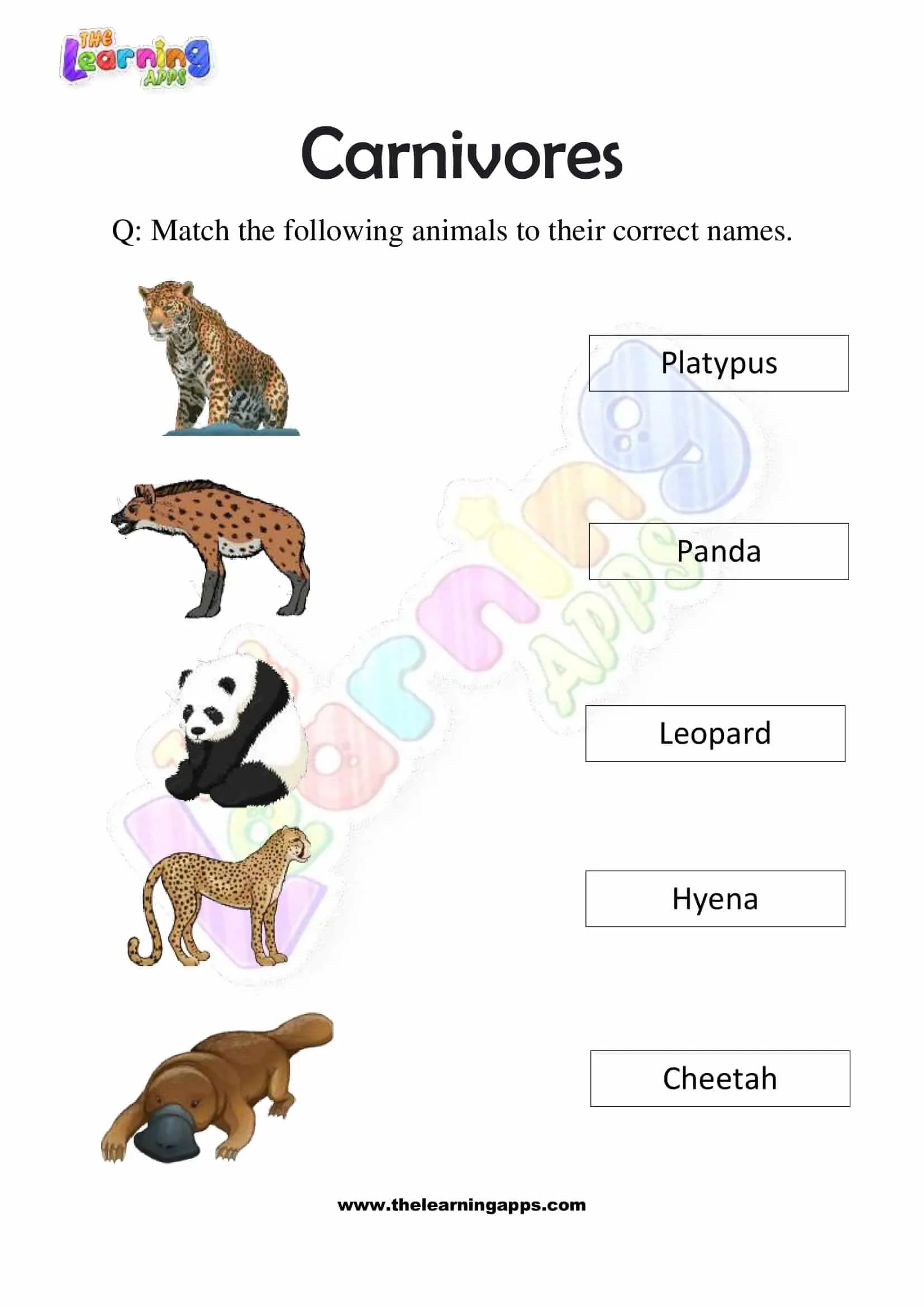 Download Free Printable Carnivores Worksheets for Grade 3