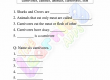 Carnivores-Worksheets-Grade-3-Umsebenzi-4