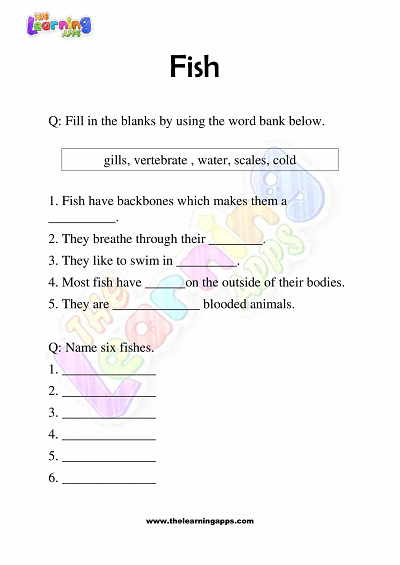 Fish-Worksheets-Grade-3-Activity-1