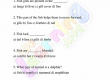 Fish-Worksheets-Grade-3-Activity-2