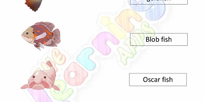 Fish-Worksheets-Grade-3-Activity-3 Fish-Worksheets-Grade-3-Activity-3