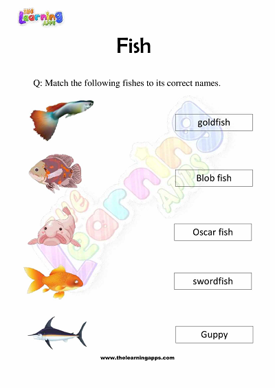 Fish-Worksheets-Grade-3-Activity-3